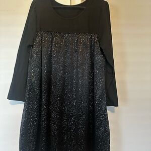 Ladies long sleeve back and silver dress